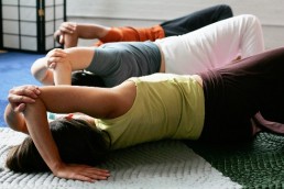 feldenkrais1