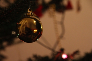 noel_mini